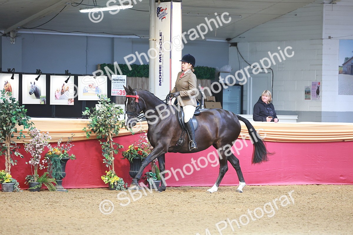 SBM_10604 - Class 103 - HOYS Veteran Qualifier - Ridden Pre Vet