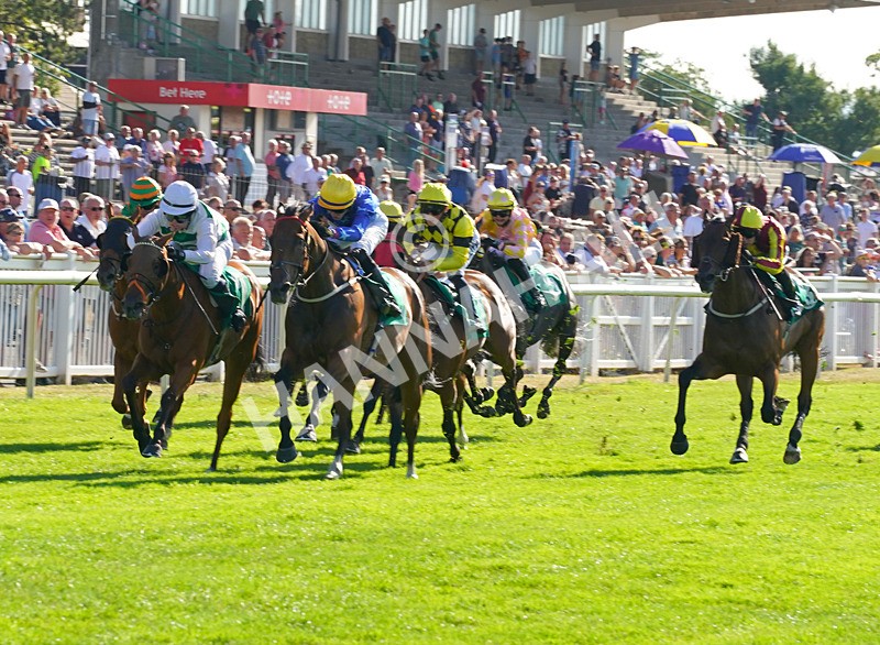 240726-Race 7-Sunlit Sea-01948 - Race 7 17.27pm Racing Excellence Apprentice Handicap