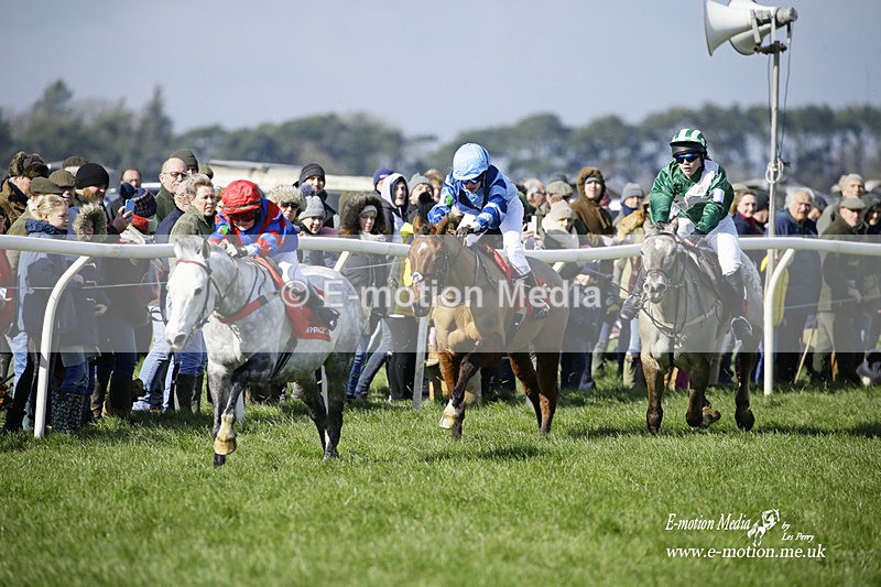 PtP 060322 76 - Blackmore & Sparkford Vale Hunt PtP 06/03/22