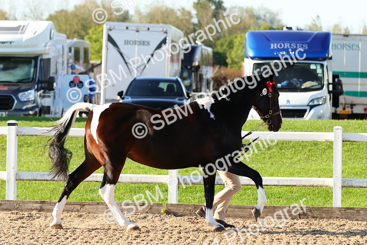 SBM_08006 - Class 201 - Best Turned Out - IH