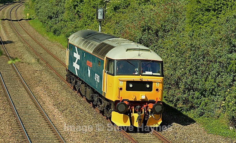 14th May 2019 - Creech St. Michael, Somerset.