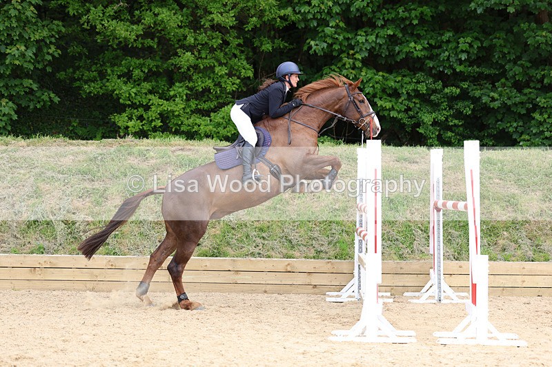 3E7A7496 - Class 8: Senior Foxhunter/1.20 open