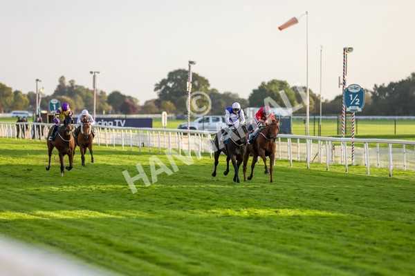 131023-Race 7-Thunder Roar-9953 - Race 7 5.35pm Visit Irish Bloodstock Sales With ITM Apprentice Handicap