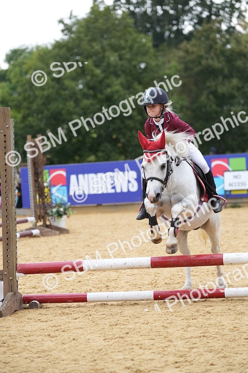 SBM_74606 - J4 - Mini Tour Junior Pony 45cm Championship