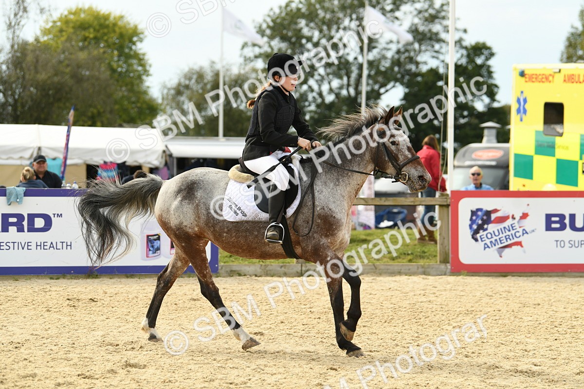 SBM_71081 - J15 - Junior Pony 70cm Championship