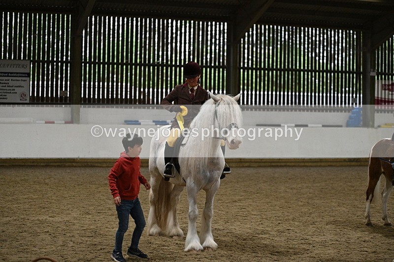 WJ7_3708 - Class 16 Ridden Coloured/ Odd Coloured