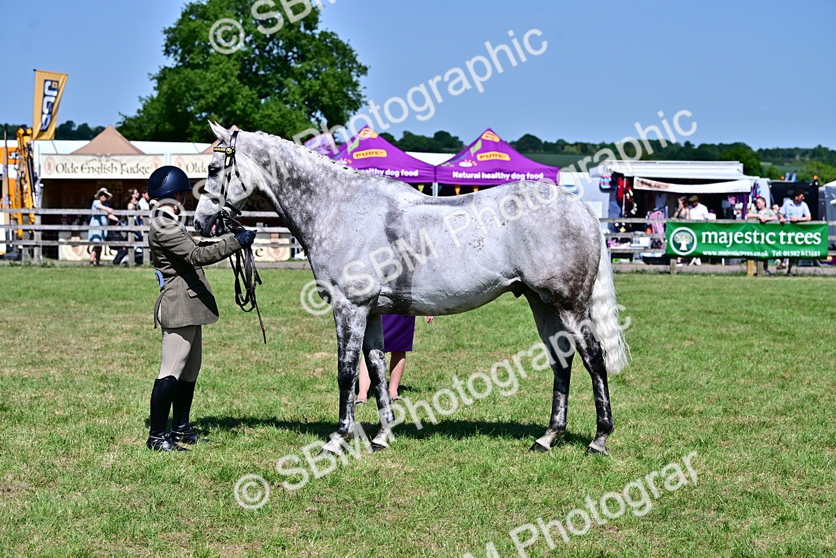 SBM_18228