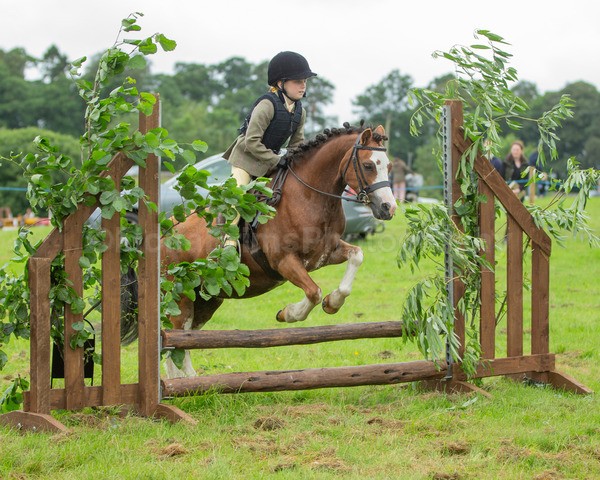 Dunblane show-91 - Dunblane and Doune Show Ring 1