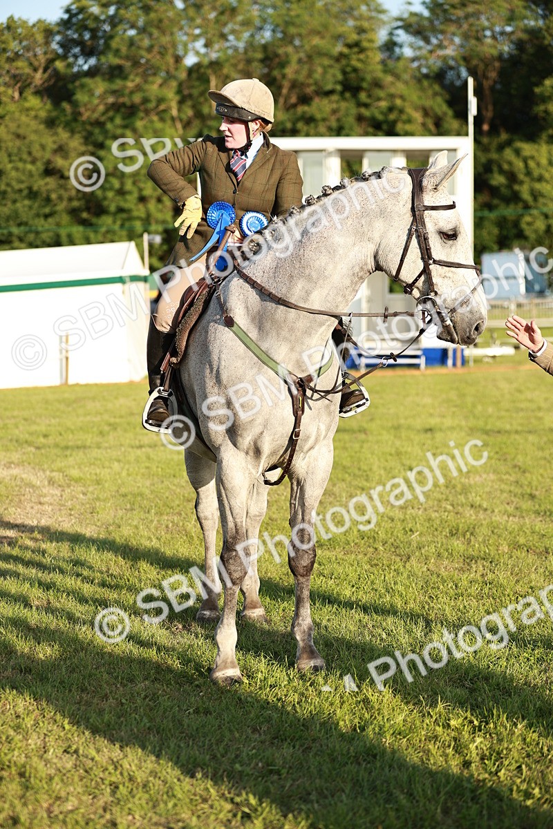 SBM_20575 - Class 117-119 - Sport Horse Working Hunter