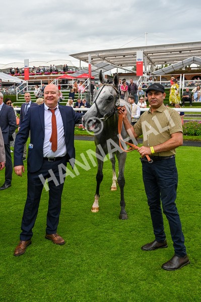 270724-Race 4-Greydreambeliever-9673 - Race 4 4.00pm Sky Bet Club EBF Fillies' Novice Stakes