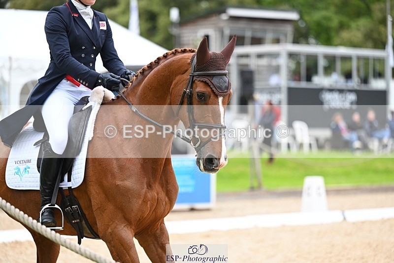 240524-182237-11643 - 166-MEXICAN_LAW-Isabelle_Cook