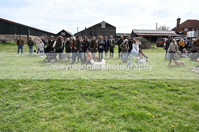 WJ6_8221 - Class 4 Prettiest Bitch