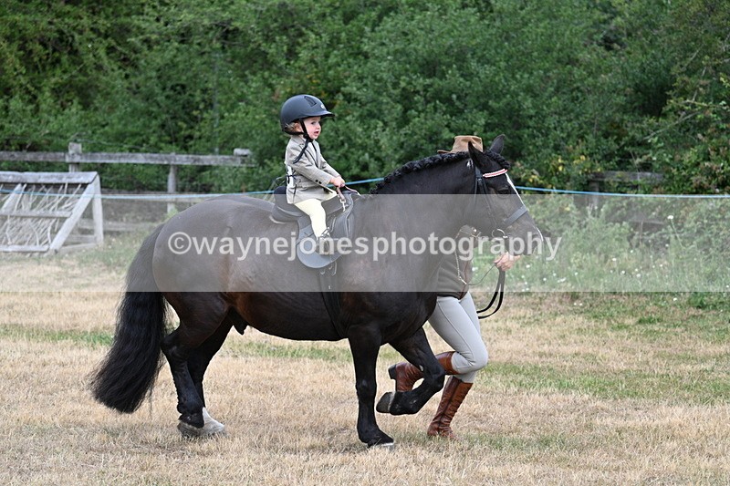 WJ7_9680 - Class 1 Lead Rein Pony