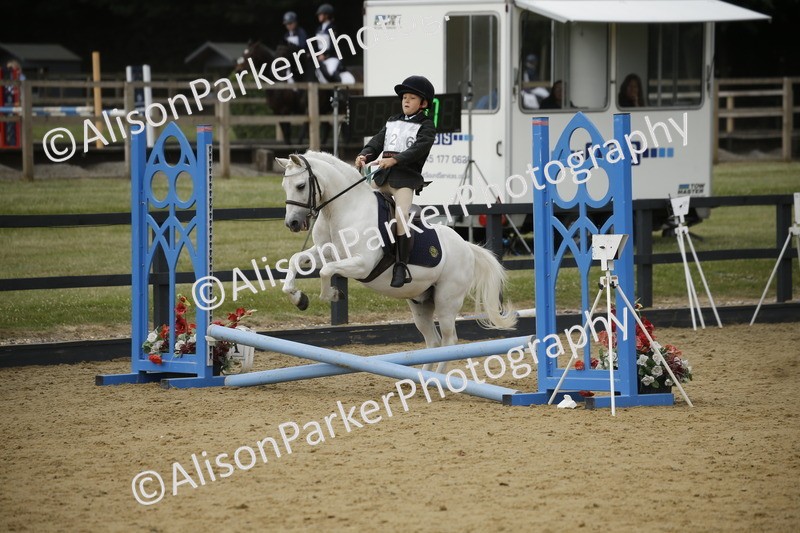 20250622-1480 - 40cm