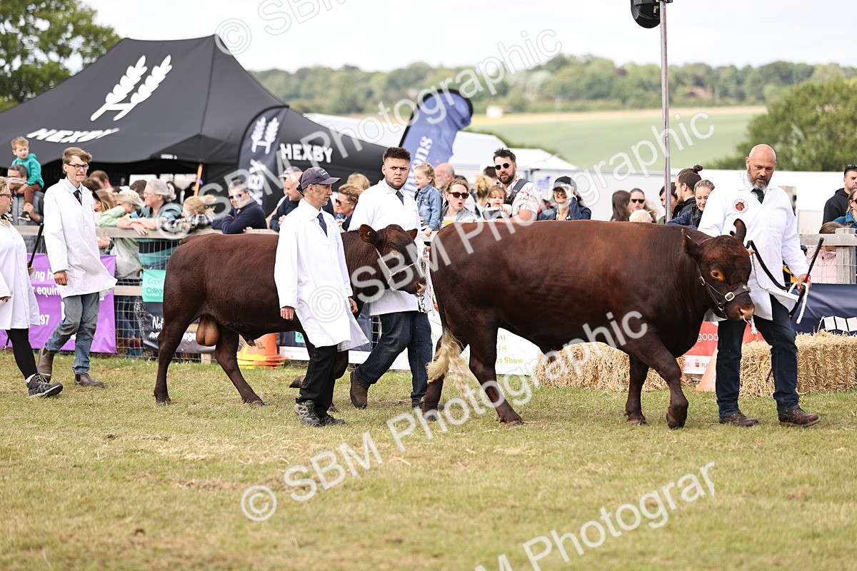 SBM_16902 - Grand Parade
