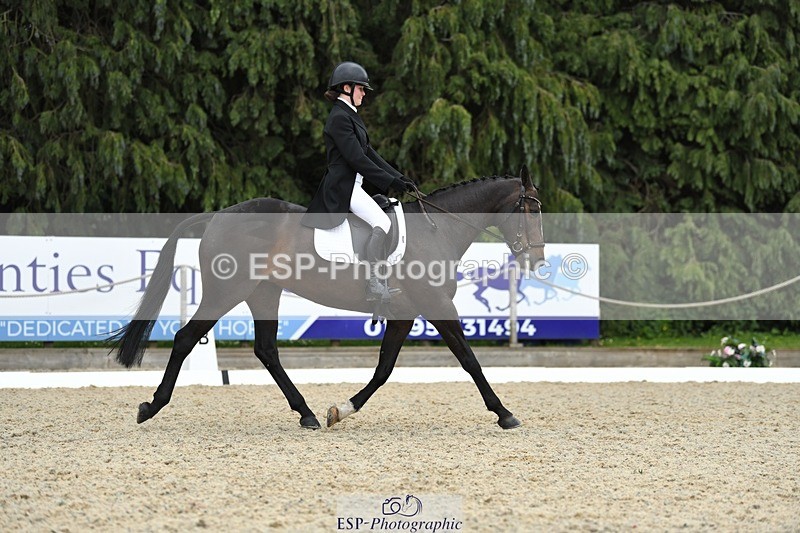 230525-142017-03131 - 320-CAVALIER_GUNFIRE-Tabitha_Baker-WEDTrotUp+DR