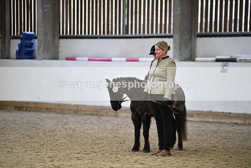 WJ5_7011 - Class 10 Childs Pony