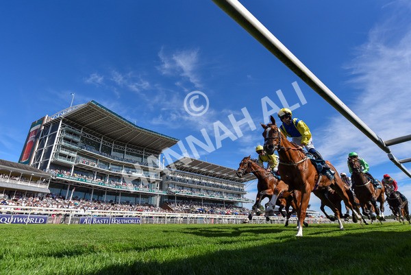 120725-Race 6-Terrorise-7216 - Race 6 4.45pm John Smith's Stayers' Handicap