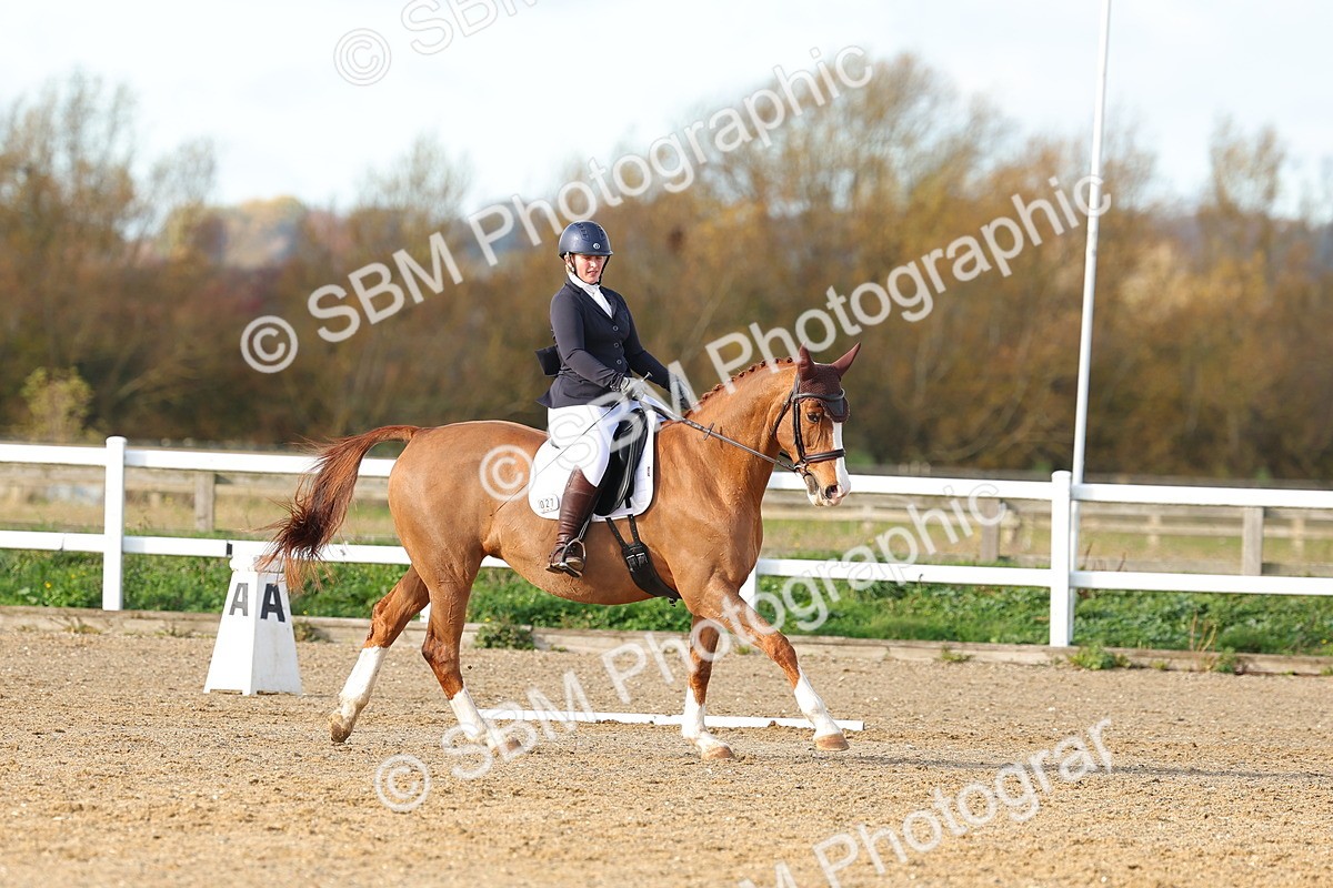 SBM_000719 - Novice 5