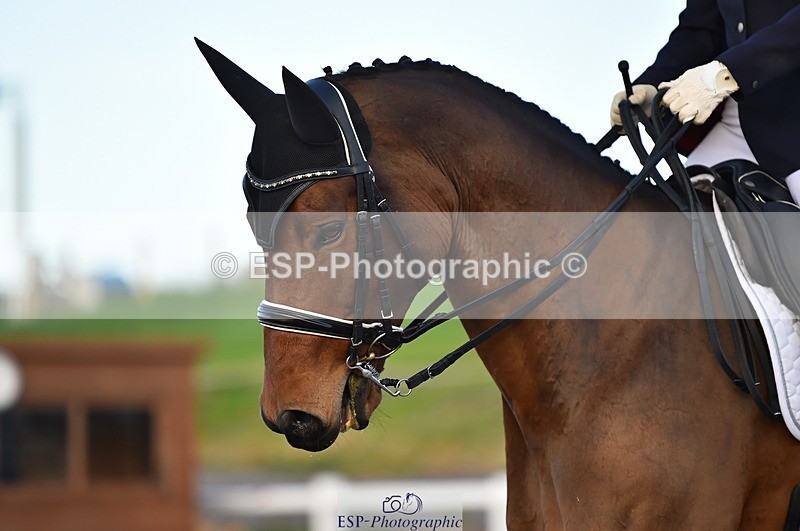 231104A-150534-02250 - Cls 14 Adv Medium 98