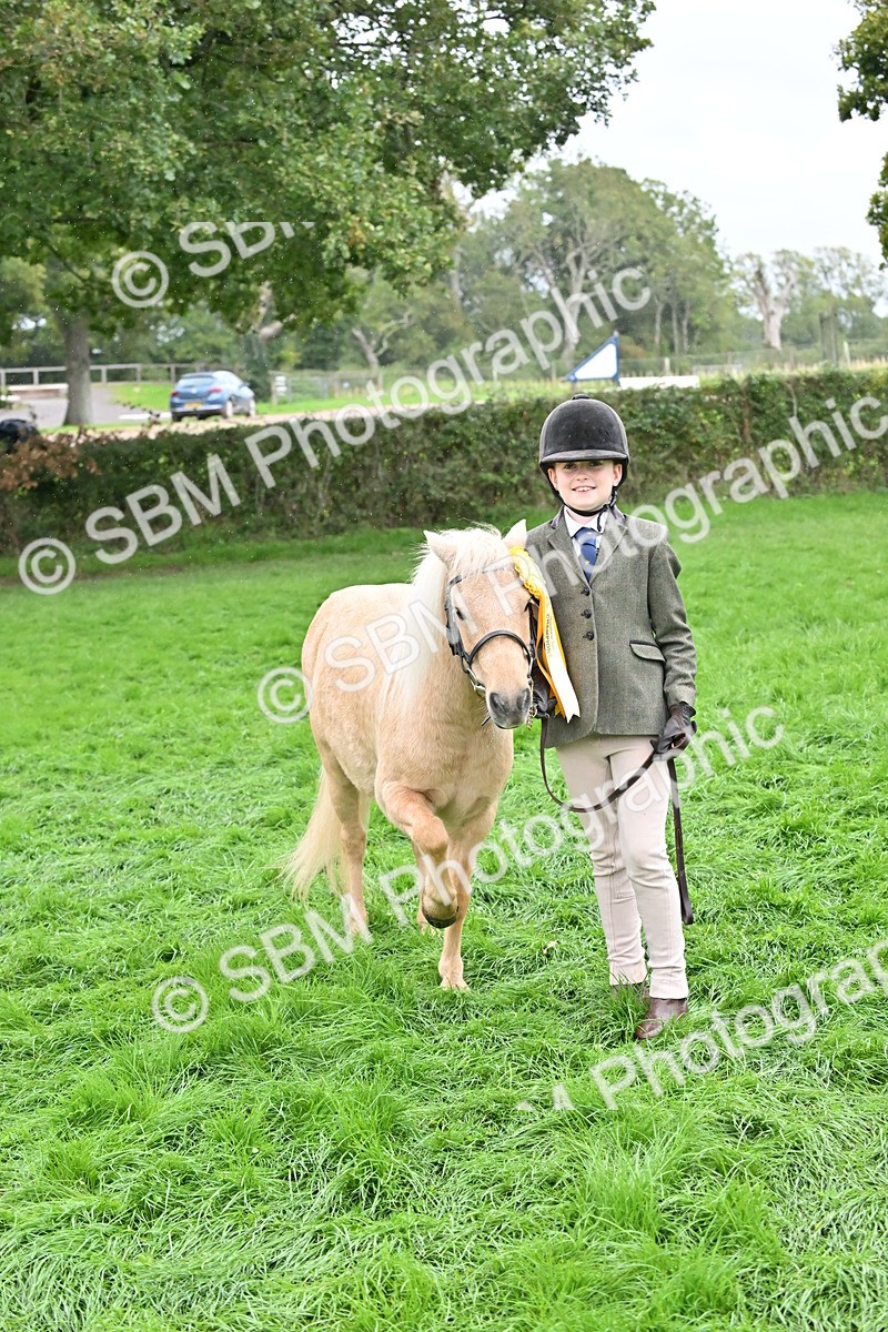 SBM_68671 - S42 - Junior Handler 9-12 Years
