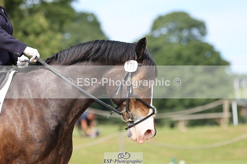 240721-115559-08475 - 176-Amanda_Williams-Llanarth_Westminster