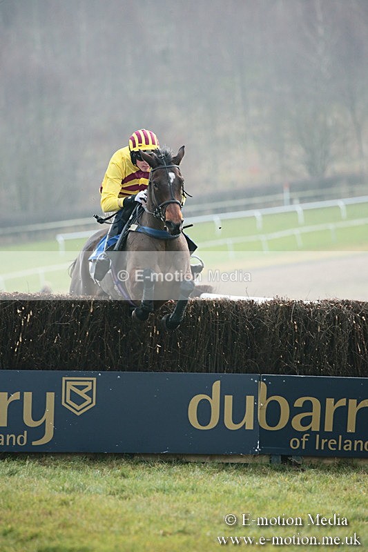 PtP 251118-84 - Vine & Craven Point-to Point Barbury Racecourse 25/11/18