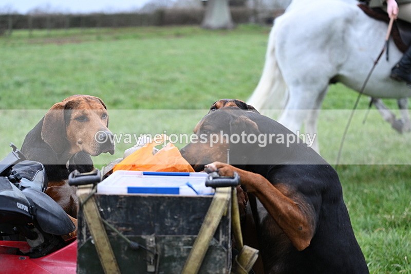WJ7_4132 - Meet