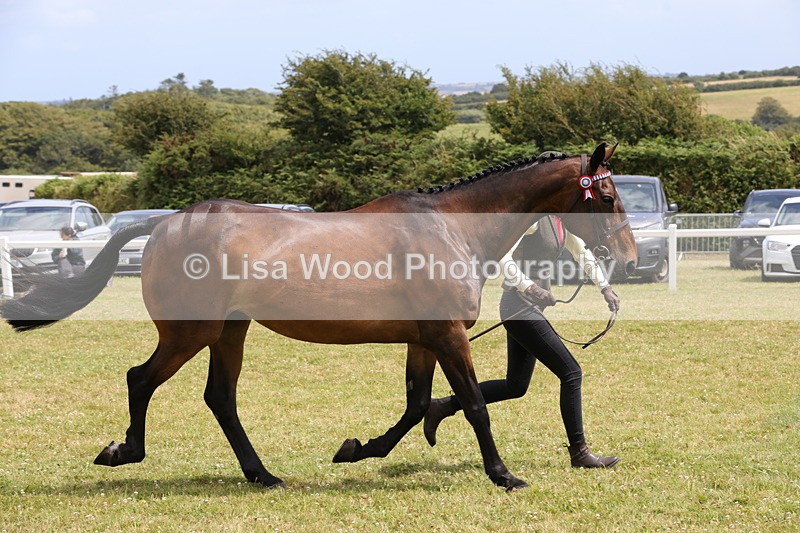 1X9A4910 - Class 35: Veteran In Hand