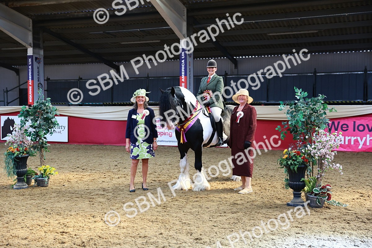 SBM_12778 - HOYS Veteran Qualifier - Ridden Champ