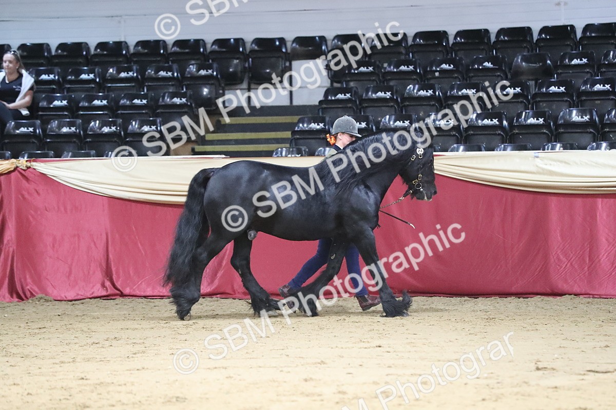 SBM_04992 - Class 8R- Regional -IH Veteran