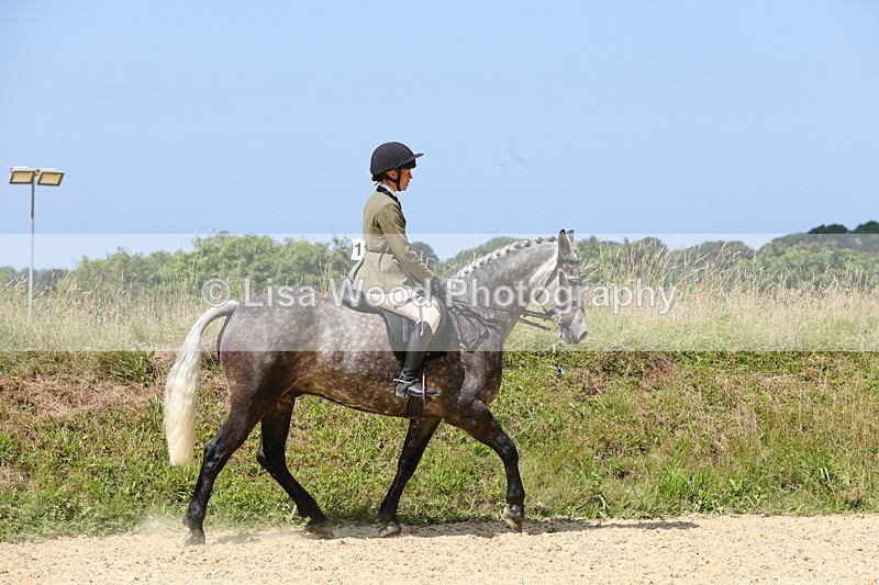 1X9A8776 - Class 19: Riding Club Horse