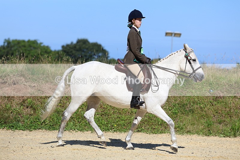 3E7A7997 - Class 14: Tack and Turnout