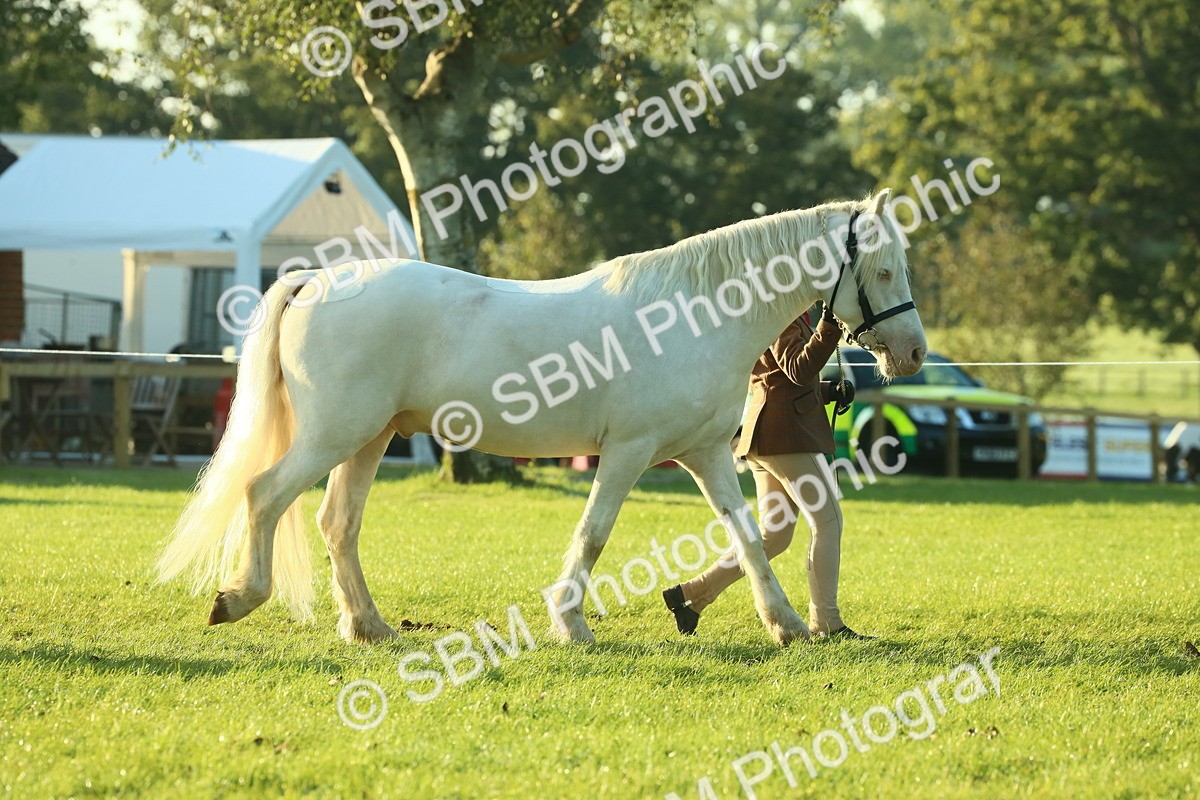 SBM_57295 - S37 - Starters In Hand Showing