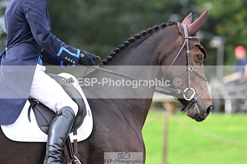 231019-103309-01600 - 031-ARIELLA-Morgan.Wyatt-DR