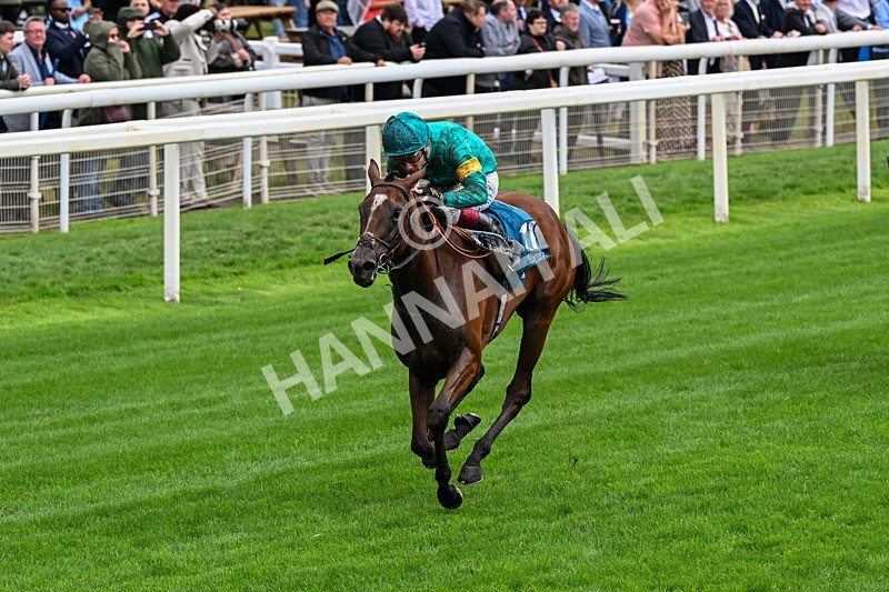 200826-Race 5-Prizeland-0653 - Race 5 16.10pm British EBF & Sir Henry Cecil Galtres Stakes
