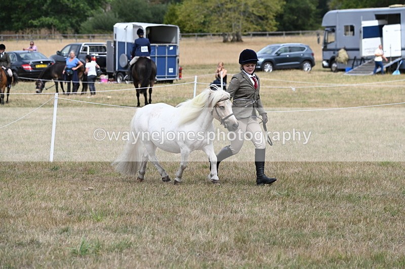 WJ6_5937 - Class 19 In-hand Veterans (Uploaded correct folder)