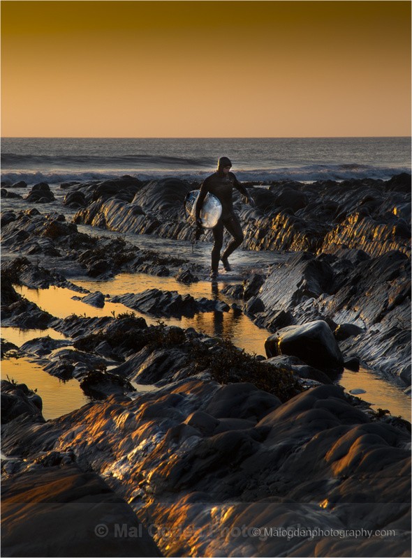 Golden Surfer - South and Southwest