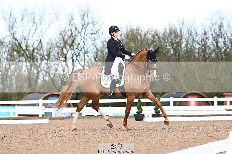 240218A-103648-06045 - 109-Sara.Gallop-Jovano