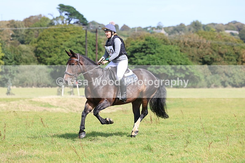 3E7A7071 - Class 2: Trekenning Open: Yellow Boat