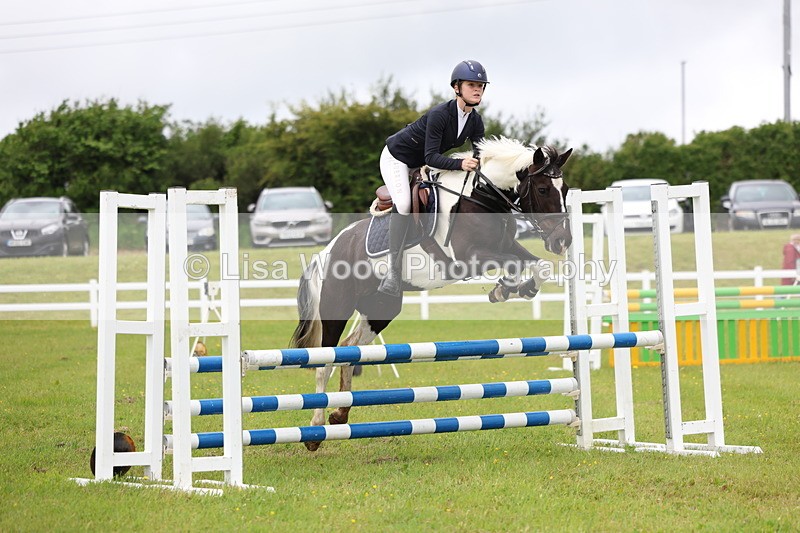 3E7A6582 - Class 9: Pony Discovery/90cm open