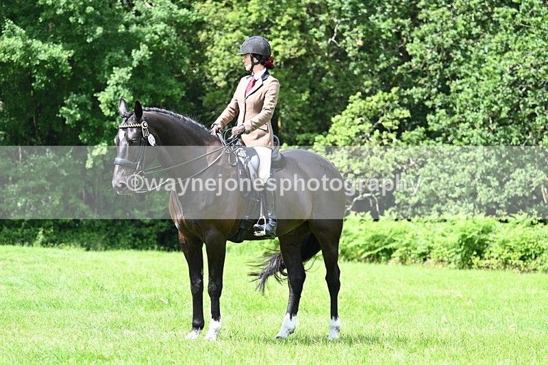 WJ7_1329 - Class 11 Condition & Turnout