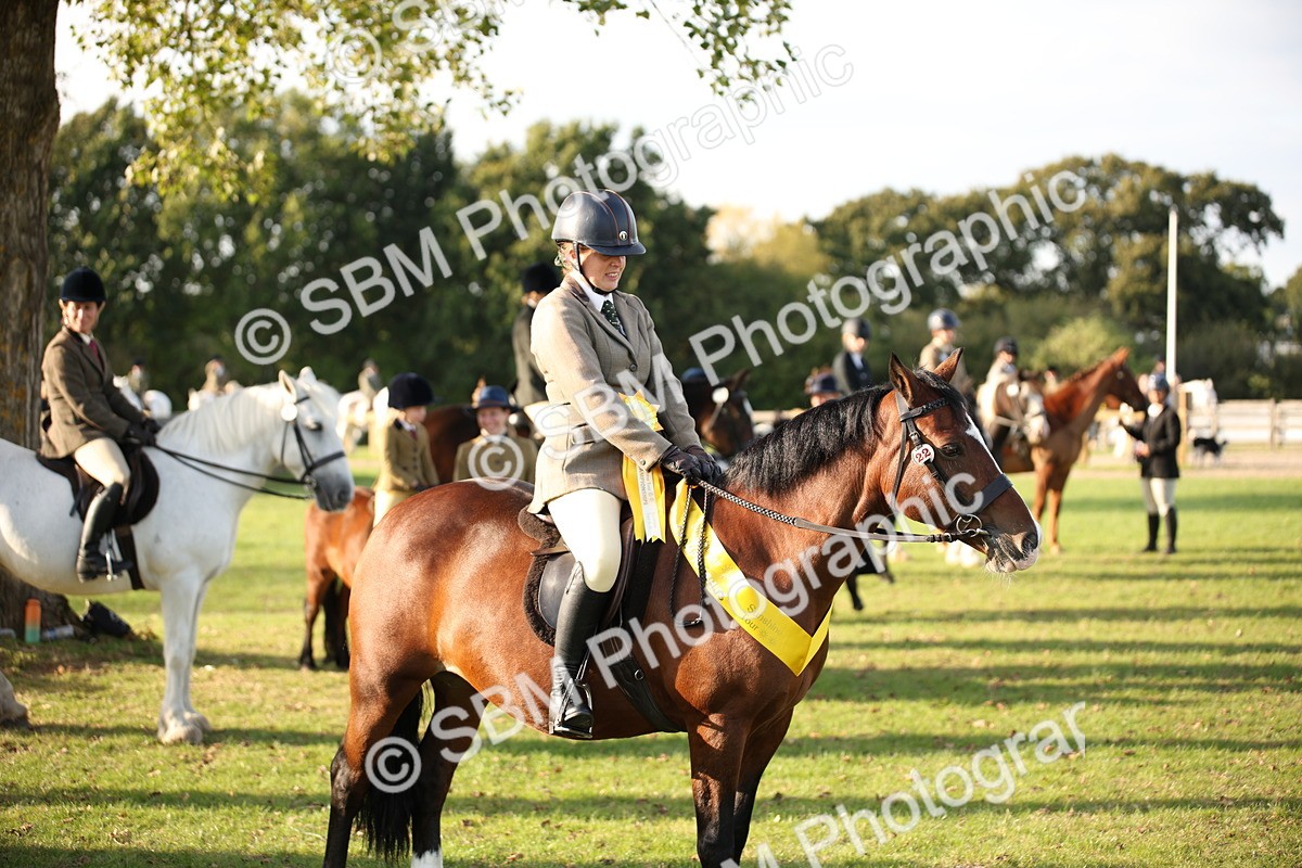 SBM_54359 - S27 - Mature Veteran - Ridden