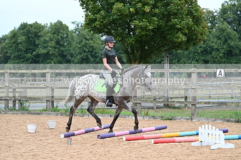 WJ7_9876 - Poles 14:00