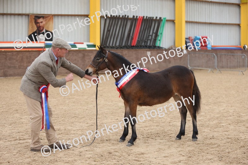 20251109-0715 - Championship