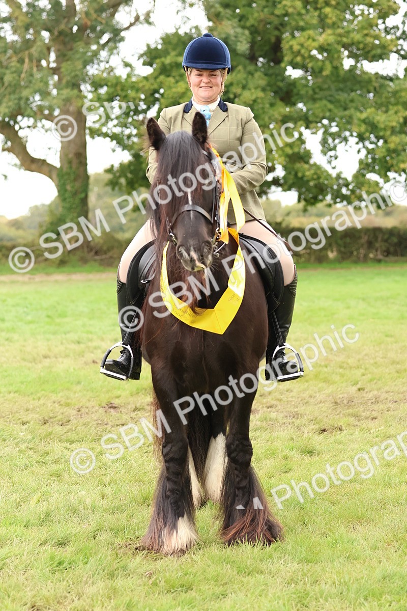 SBM_59995 - S36 - Rehabiliated Rescue Horse & Pony In Hand & Ridden
