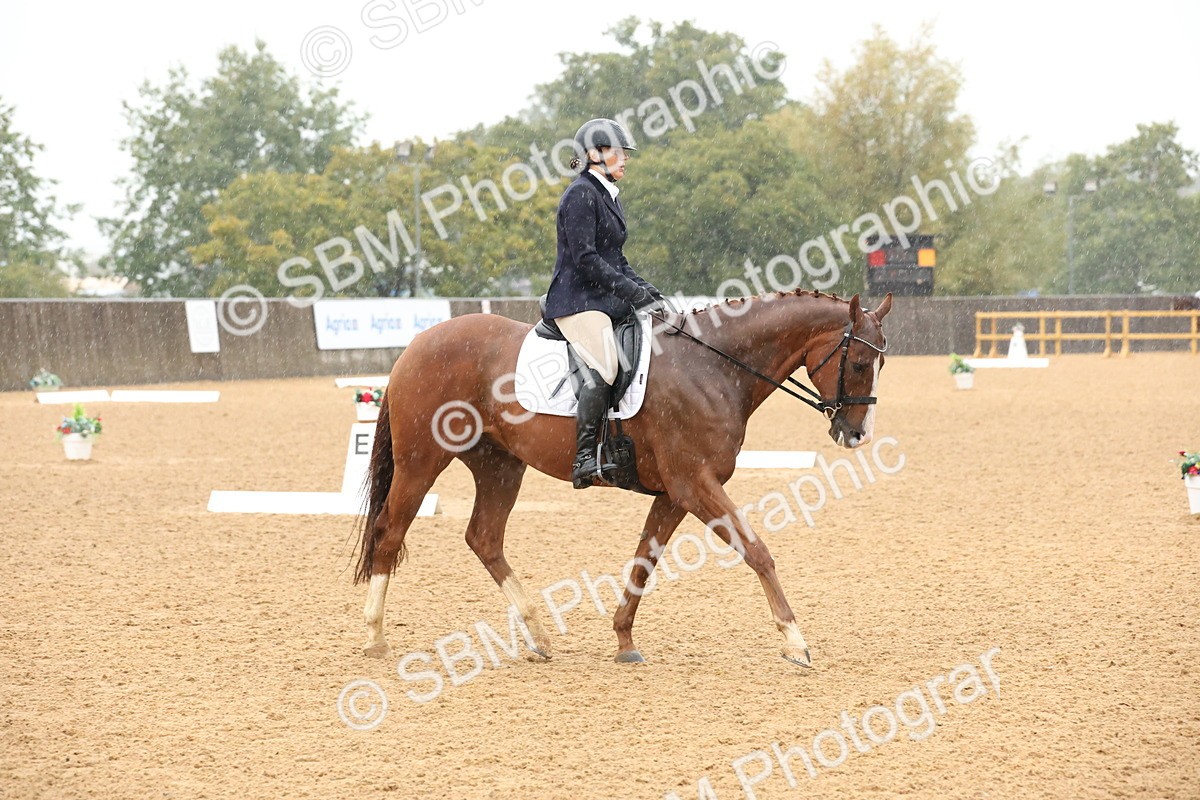 SBM_36631 - D18 - Grand Tour Championship Novice 2