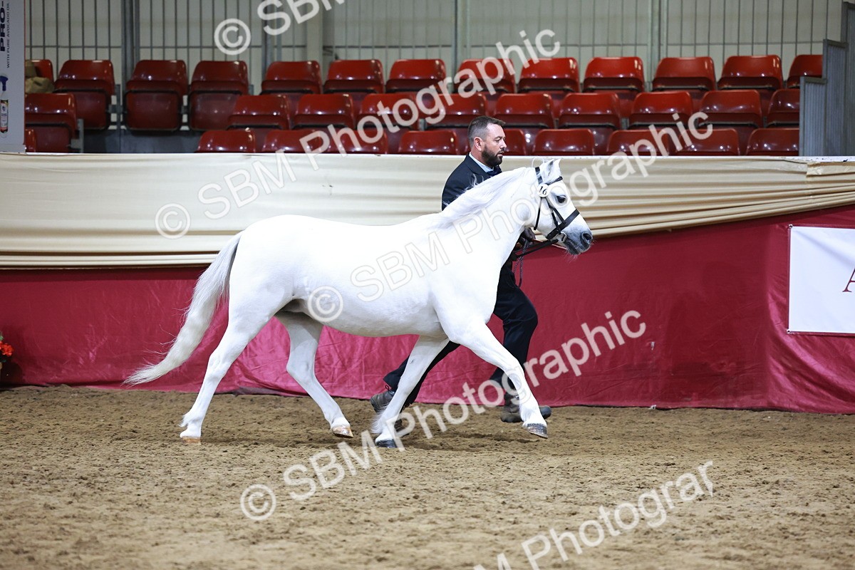 SBM_20316 - Class E - Best Turned Out Champ