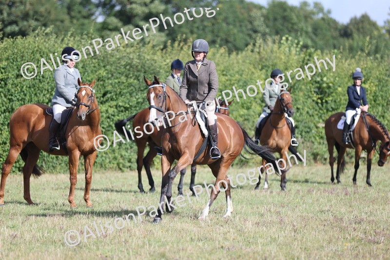 20250831-0919 - Class 14 - Ex Racehorse