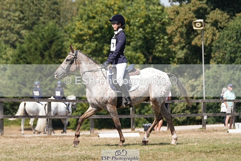 250823A-131155-31150 - Arena A